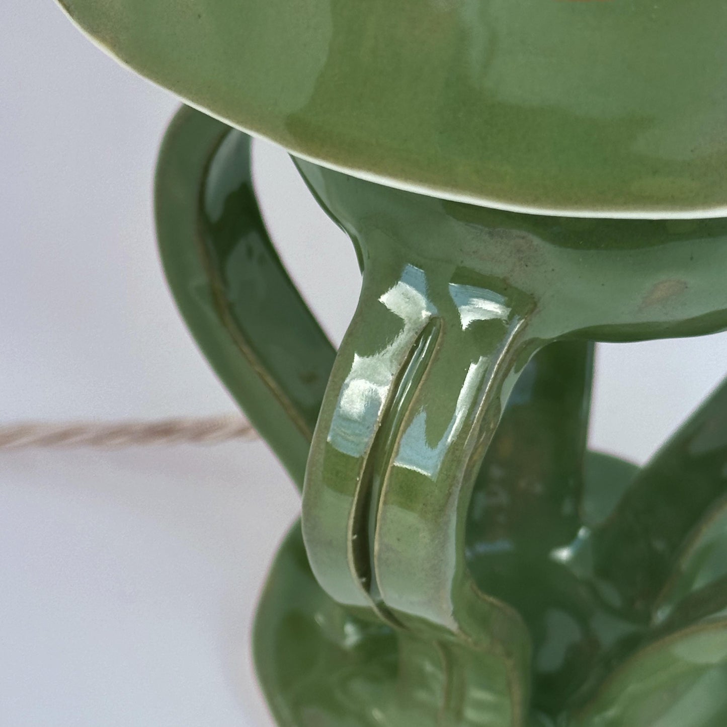 Tree Frog