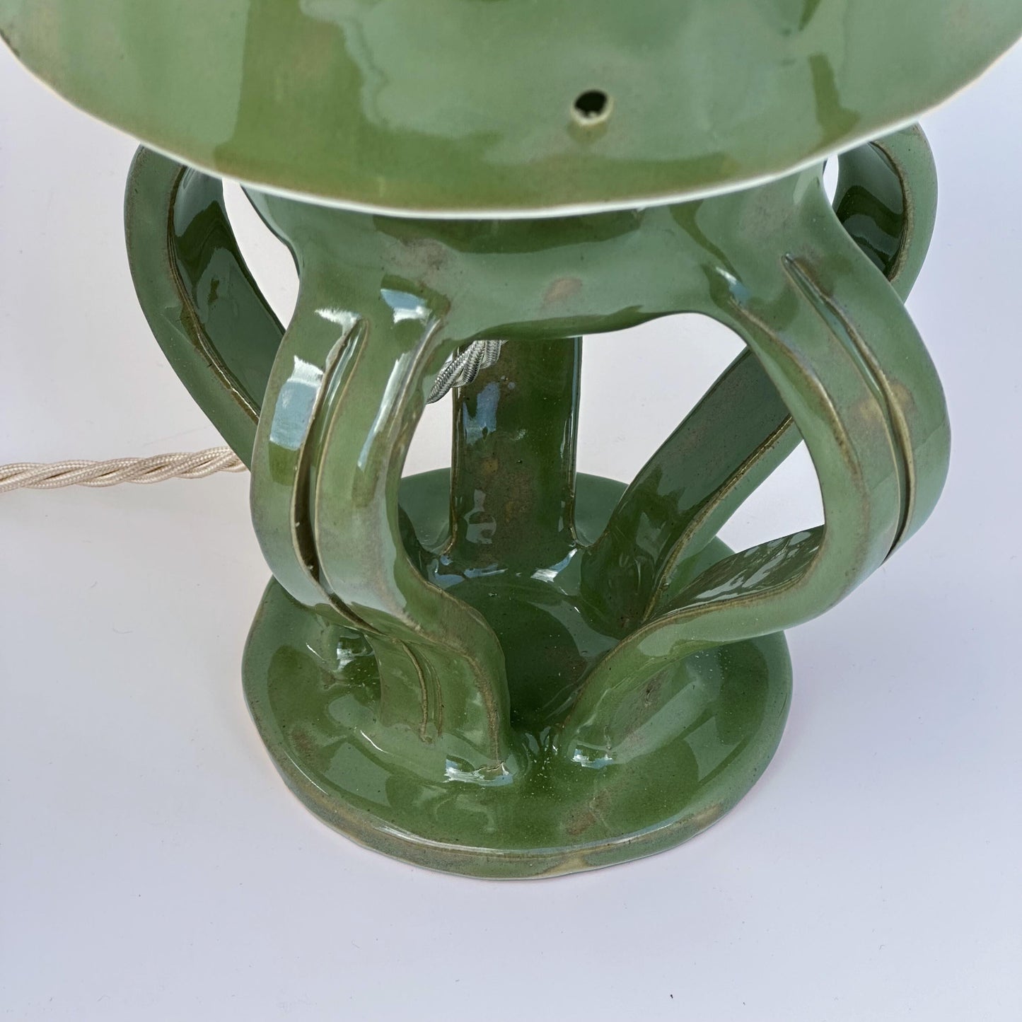 Tree Frog